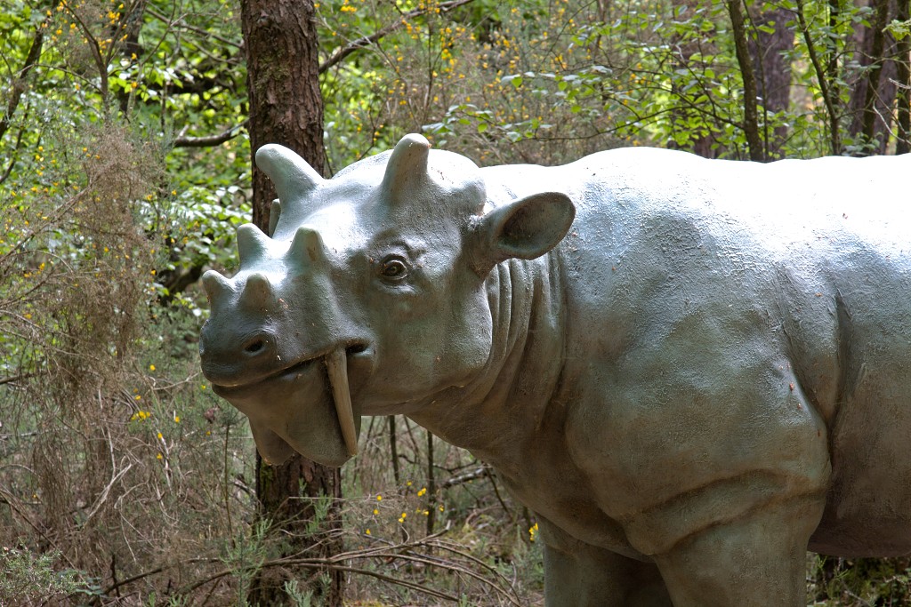 parc de prehistoire bretagne hdr france frankrijk themapark dino dinosaurussen dinosaurus zoo tyrannosaurus rex